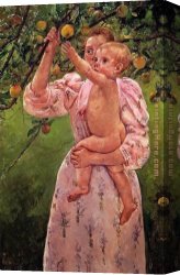Cassatt Canvas Paintings - Baby Reaching For An Apple Aka Child Picking Fruit by Mary Cassatt