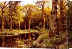 Stream Canvas Paintings - A Forest Stream by Peder Mork Monsted