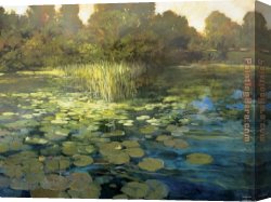 Waterlilies And Japanese Bridge Canvas Paintings - Waterlilies by Philip Craig