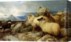 A Shepherdess with Her Flock Canvas Paintings - Herding the Flock by Richard Ansdell