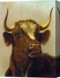 Head Canvas Paintings - Head of a Bull by Rosa Bonheur