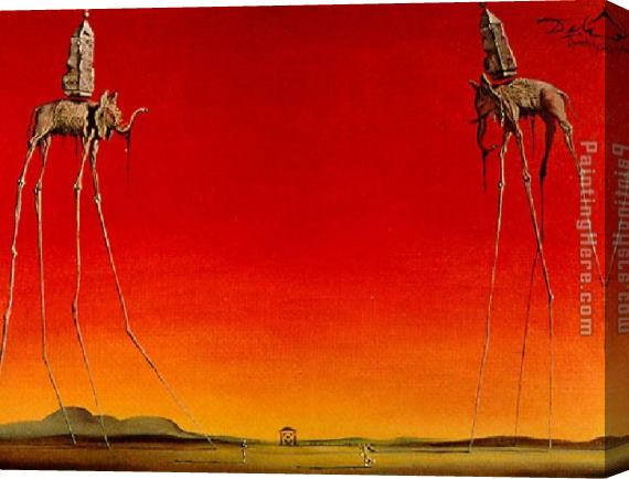 Salvador Dali Les Elephants Stretched Canvas Painting for sale ...