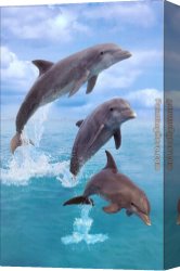 The Voyage of Life Manhood Canvas Paintings - Dolphin by Sea life