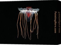 The Voyage of Life Manhood Canvas Paintings - Jellyfish 1 by Sea life