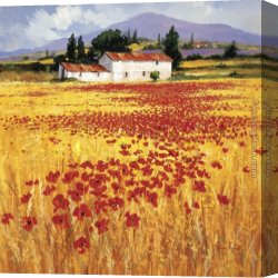 Poppies 1886 Canvas Paintings - Poppies field by Steve Thoms