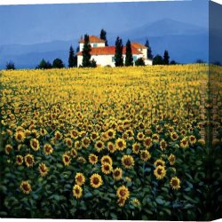 Mediterranean Canvas Paintings - Sunflower Field by Steve Thoms