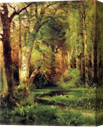 Thomas Doughty Canvas Paintings - Forest Scene by Thomas Moran