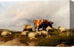Cliff Canvas Paintings - A Cow And Sheep On The Cliffs by Thomas Sidney Cooper
