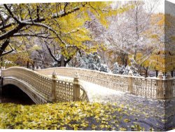 Wivenhoe Park Essex Canvas Paintings - Early Snowfall, Central Park by Unknown Artist