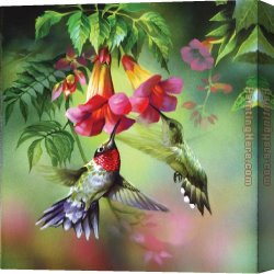 Hummingbird Canvas Paintings - hummingbirds by Unknown Artist