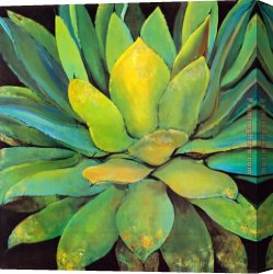 David Canvas Paintings - Jillian David Agave by Unknown Artist