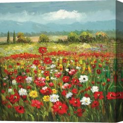 Artist's Canvas Paintings - KNI-012 by Unknown Artist