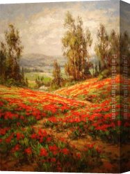 View of The Ponte Vecchio, Florence Canvas Paintings - Poppy Field A View From Above by Unknown Artist