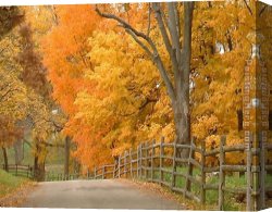 Artist's Canvas Paintings - RL033 by Unknown Artist