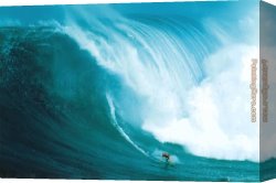 Wave Canvas Paintings - Wave Rider by Unknown Artist