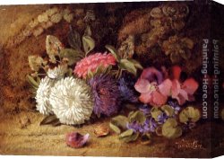 Violet Canvas Paintings - Asters,Pansies And Violets by Vincent Clare