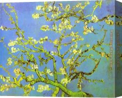 Pear Tree Canvas Paintings - Branches of Almond tree in Bloom by Vincent van Gogh