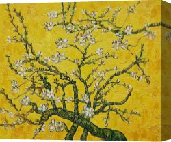 Flowering Apple Tree Branch Canvas Paintings - Branches of an Almond Tree in Blossom yellow by Vincent van Gogh