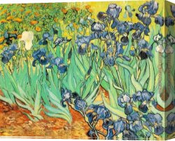 Irises Canvas Paintings - Irises by Vincent van Gogh