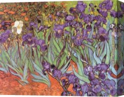 Irises Canvas Paintings - Irises at Saint Remy by Vincent van Gogh