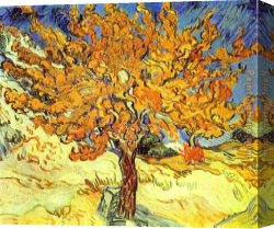 Flowering Apple Tree Branch Canvas Paintings - Mulberry Tree by Vincent van Gogh