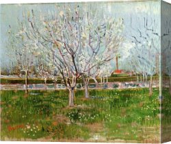 Under The Blossom That Hangs on The Bough Canvas Paintings - Orchard in Blossom by Vincent van Gogh