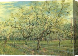 Flowering Apple Tree Branch Canvas Paintings - Orchard with Blossoming Plum Trees by Vincent van Gogh