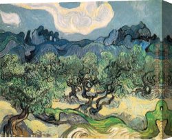 Flowering Apple Tree Branch Canvas Paintings - The Olive Trees by Vincent van Gogh