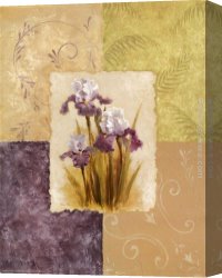 Irises Canvas Paintings - Amethyst Iris by Vivian Flasch