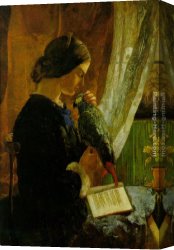 Walter Canvas Paintings - The Grey Parrot by Walter Howell Deverell