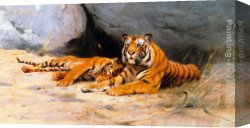 A Tiger And a Serpent Canvas Paintings - Tigers Resting by Wilhelm Kuhnert