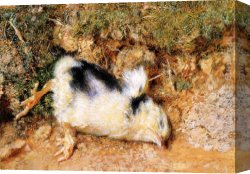 Dead Game Canvas Paintings - John Ruskin's dead chick by William Holman Hunt