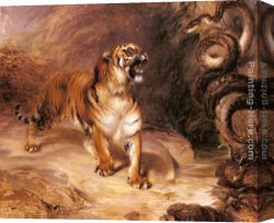 A Tiger And a Serpent Canvas Paintings - A Tiger and a Serpent by William Huggins