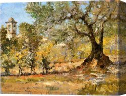William Merritt Chase Canvas Paintings - Olive Trees Florence by William Merritt Chase