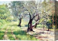 William Merritt Chase Canvas Paintings - The Olive Grove by William Merritt Chase