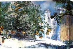 Homer Canvas Paintings - Orange Tree Nassau by Winslow Homer