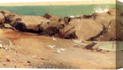 Rocky Canvas Paintings - Rocky Coast and Gulls by Winslow Homer