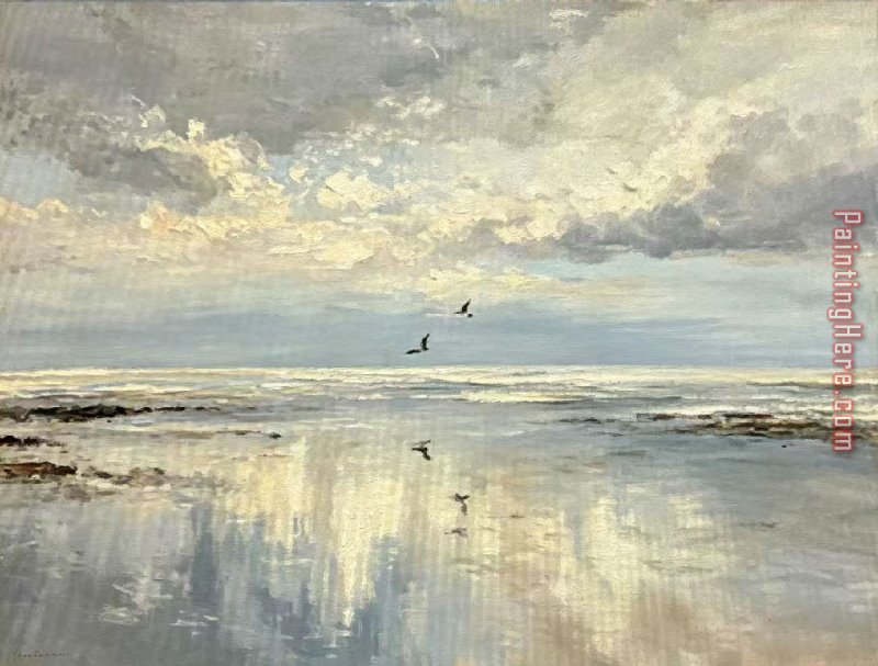 2017 new - Beach Skyline